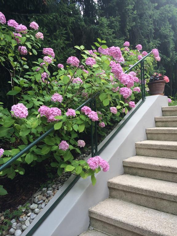 Exquisites Gartenapartment In Eleganter Jugendstilvilla Viyana Dış mekan fotoğraf